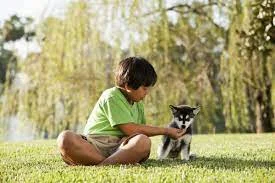 Avoid Heartbreak: The Crucial Age for Buying Your New Pup